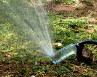 17 sáng kiến tái sử dụng chai nhựa tuyệt hay ảnh 2