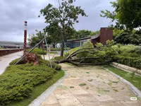 Hình ảnh bão Saola đổ bộ Trung Quốc với sức gió đáng sợ