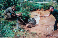 Thợ săn 84 tuổi sống chung với cá sấu lớn nhất thế giới ảnh 9