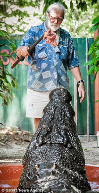 Thợ săn 84 tuổi sống chung với cá sấu lớn nhất thế giới ảnh 3