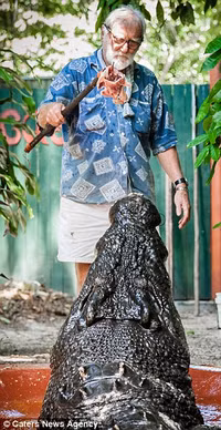 Thợ săn 84 tuổi sống chung với cá sấu lớn nhất thế giới ảnh 3