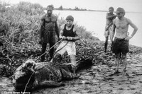 Thợ săn 84 tuổi sống chung với cá sấu lớn nhất thế giới ảnh 8