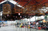 Đặc sắc lễ hội đền Cờn ảnh 11 Đặc sắc lễ hội đền Cờn ảnh 11