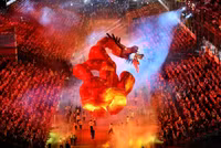 Hình ảnh những chú rồng rực rỡ qua ống kính nhiếp ảnh gia