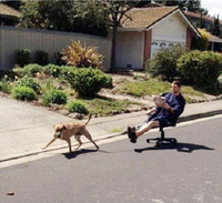 Vua lười ảnh 16