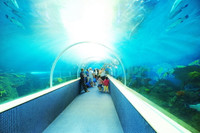 Trải nghiệm “Lốc xoáy” sảng khoái tại Phú Quốc ảnh 10