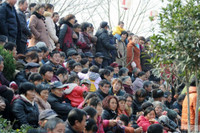 Hơn 30.000 người chen chúc xem lễ cưới cổ xưa ảnh 10