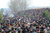 Hơn 30.000 người chen chúc xem lễ cưới cổ xưa ảnh 9