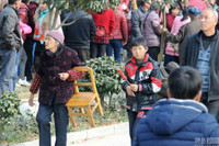 Hơn 30.000 người chen chúc xem lễ cưới cổ xưa ảnh 11