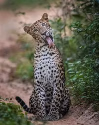 Cuộc thi Nhiếp ảnh Thiên nhiên công bố người chiến thắng