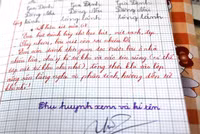 Lời nhận xét xuất phát từ trái tim của người thầy ảnh 1