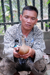 Nuôi chim trời, thu bạc triệu ảnh 4