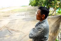 Nuôi chim trời, thu bạc triệu ảnh 1