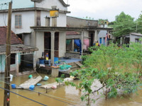 Thừa Thiên- Huế: Học sinh vùng ngập lũ được nghỉ học ảnh 1