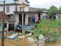 Thừa Thiên- Huế: Học sinh vùng ngập lũ được nghỉ học ảnh 1