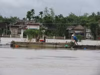 Thừa Thiên- Huế: Học sinh vùng ngập lũ được nghỉ học ảnh 6