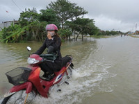 Thừa Thiên- Huế: Học sinh vùng ngập lũ được nghỉ học ảnh 8