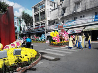 Cần Thơ: Lưu luyến bên Đường hoa nghệ thuật ảnh 7