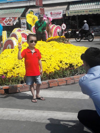 Cần Thơ: Lưu luyến bên Đường hoa nghệ thuật ảnh 6