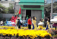 Cần Thơ: Lưu luyến bên Đường hoa nghệ thuật ảnh 8