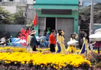 Cần Thơ: Lưu luyến bên Đường hoa nghệ thuật ảnh 8 Cần Thơ: Lưu luyến bên Đường hoa nghệ thuật ảnh 8