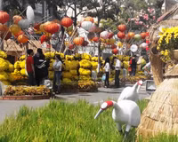 Cần Thơ: Lưu luyến bên Đường hoa nghệ thuật ảnh 3 Cần Thơ: Lưu luyến bên Đường hoa nghệ thuật ảnh 3