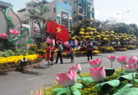 Cần Thơ: Lưu luyến bên Đường hoa nghệ thuật ảnh 5