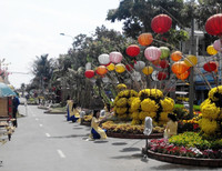 Cần Thơ: Lưu luyến bên Đường hoa nghệ thuật ảnh 2