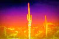 Thế giới 2023 trải qua nắng nóng kỷ lục như thế nào?