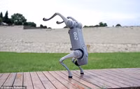 Chùm ảnh robot chó cưng giá 1.600 USD