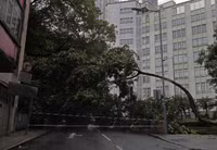 Bão Hato tấn công Trung Quốc, 9 người thiệt mạng ảnh 1