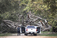 Quang cảnh bang Florida hậu bão Irma ảnh 6