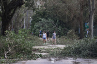 Quang cảnh bang Florida hậu bão Irma ảnh 15