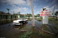 Quang cảnh bang Florida hậu bão Irma ảnh 11