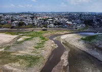 Chùm ảnh rừng Amazon hạn hán kinh hoàng, cá chết trắng sông