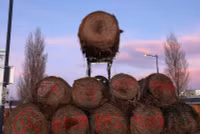 Chùm ảnh nông dân Pháp đổ khoai tây, đốt bánh xe chặn các con đường