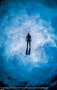 Loạt tác phẩm đoạt giải thưởng ảnh thế giới 2024 của Sony