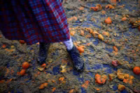 Chùm ảnh tái hiện trận chiến thời Trung cổ với 1.000 tấn cam