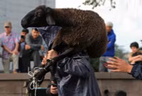 Chùm ảnh người Hồi giáo trên khắp thế giới mừng lễ hiến tế