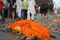 Chùm ảnh nơi những lão niên Hindu cố gắng phá vỡ vòng luân hồi