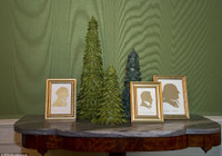 Đệ nhất phu nhân Mỹ đích thân trang trí Giáng sinh ảnh 14 Đệ nhất phu nhân Mỹ đích thân trang trí Giáng sinh ảnh 14