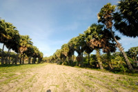 Nghề "độc": "Ăn cơm dưới đất, làm việc trên trời” ảnh 1