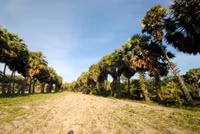 Nghề "độc": "Ăn cơm dưới đất, làm việc trên trời” ảnh 1