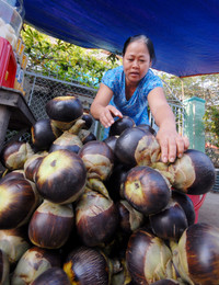 Nghề "độc": "Ăn cơm dưới đất, làm việc trên trời” ảnh 20