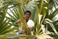 Nghề "độc": "Ăn cơm dưới đất, làm việc trên trời” ảnh 5