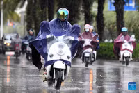 Chùm ảnh bão Talim quật đổ cây, hoành hành ở Trung Quốc 