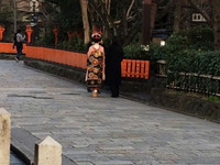 Thế giới ít biết của các geisha ảnh 2