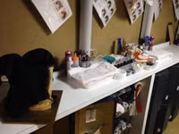 Thế giới ít biết của các geisha ảnh 7