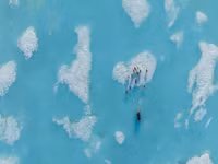 Chùm những bức ảnh ấn tượng đoạt giải về môi trường