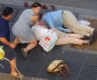 Hậu trường cuộc tấn công khủng bố ở Tây Ban Nha ảnh 2